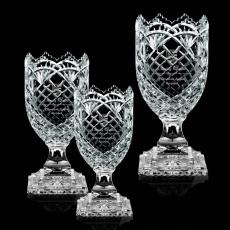 Coach Awards - Guildford Trophy Award