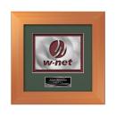 Premier Aquashape&trade; Award - Bronze Alt Image 1