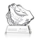 Ottavia 2 Dolphins Award