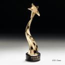 Zenith Shooting Star Award