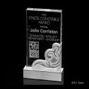 Tribute Award