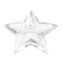 Savoy Star Paperweight