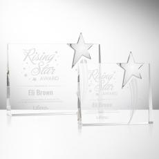 Bradenton Chrome Star Award - Rectangle Awards
