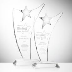 Atkinson Chrome Star Award - Sales Awards