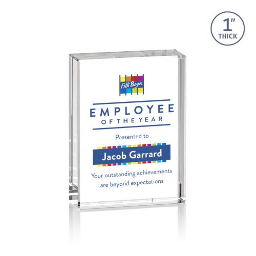 Recognition Awards - Crystal Awards - Abbott VividPrint™ Award