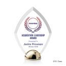 Diamond Hemisphere VividPrint&trade; Award