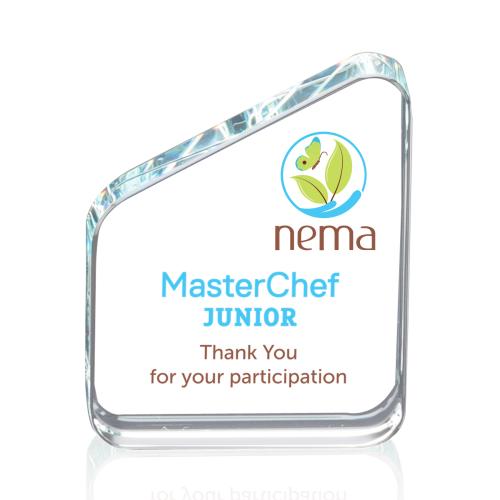 Recognition Awards - Crystal Awards - Lada VividPrint&trade; Award