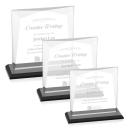 Tanner Award - Black  Alt Image 1