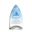 Patterson VividPrint&trade; Award
