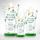 Mantella Gold Star VividPrint&trade; Award - Green Alt Image 2