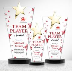 Mantella Gold Star VividPrint Award - Black - Crystal Awards