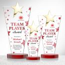Mantella Gold Star VividPrint&trade; Award - Red Alt Image 2