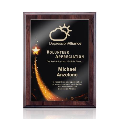 Plaque Awards - Retirement Plaques - Farnsworth/Benton - Cherry Finish