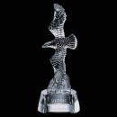 Staffordshire Eagle Award - Clear