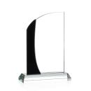 Jarvis Award - Black Alt Image 1