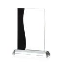 Landfield Award - Black Alt Image 1