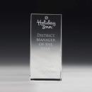 McKinley Tower Award