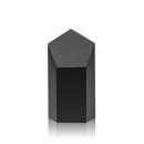 Jolanda Award - Black Alt Image 1