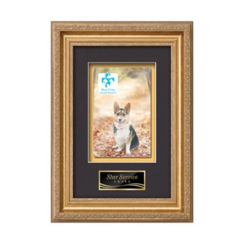 Plaque Awards - Framed Awards & Plaques - Regal - Gold