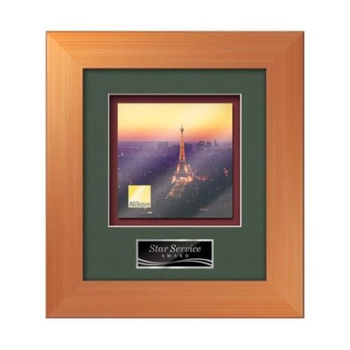 Plaque Awards - Framed Awards & Plaques - Premier - Bronze