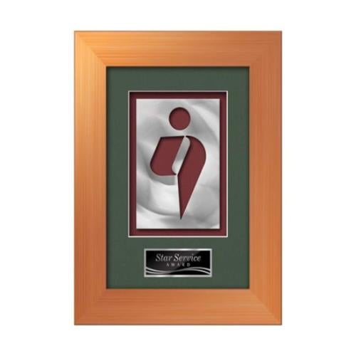 Plaque Awards - Framed Awards & Plaques - Premier Aquashape™ Award - Bronze