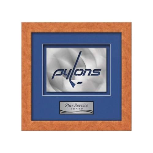 Plaque Awards - Framed Awards & Plaques - Eldridge Aquashape™ Award - Light Walnut