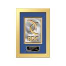 Eldridge Aquashape&trade; Award - Gold