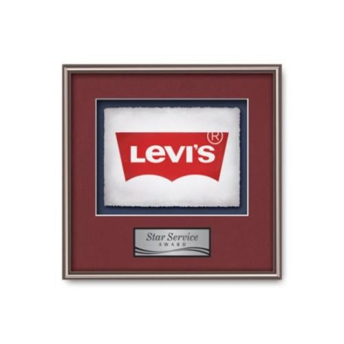 Plaque Awards - Framed Awards & Plaques - Fenestra -  Bronze