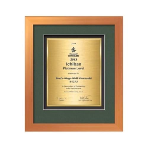 Plaque Awards - Framed Awards & Plaques - Eldridge Certificate TexEtch - Bronze