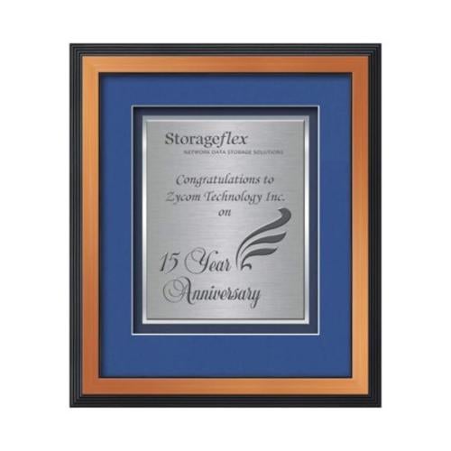 Plaque Awards - Framed Awards & Plaques - Jasper Certificate TexEtch - Bronze