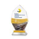 Nebraska VividPrint&trade; Award - Amber