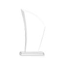Agassi Award Alt Image 1