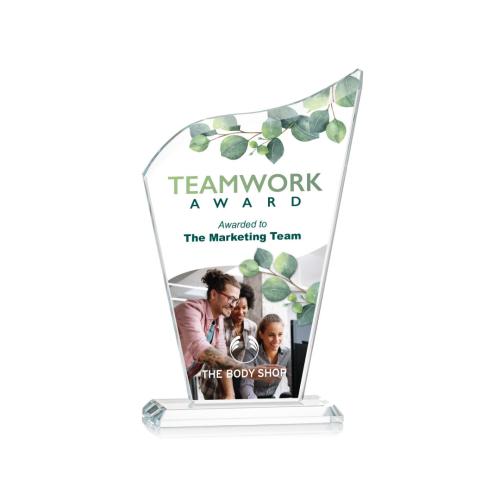 Recognition Awards - Crystal Awards - Hepscott VividPrint™ Award