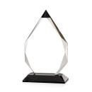 Granville Award - Black Alt Image 1