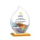 Nestor Flame VividPrint&trade; Award - Amber