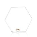 Polaris Hexagon Award - Gold Alt Image 1