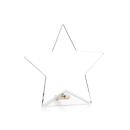 Polaris Star Award - Gold Alt Image 1