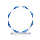 Mystique Octagon VividPrint&trade; Award Alt Image 1