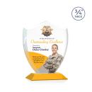Scudo Shield VividPrint&trade; Award - Amber