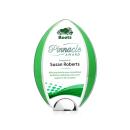 Lincoln VividPrint&trade; Award - Green