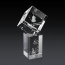 Burrill 3D Award on Dakota Base