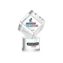 Burrill VividPrint&trade; Award on Marvel Base - Clear