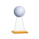 Edenwood Volleyball VividPrint&trade; Award - Amber Alt Image 1