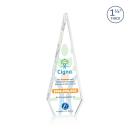 Springfield VividPrint&trade; Award