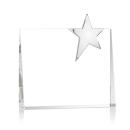 Bradenton Chrome Star Award Alt Image 1