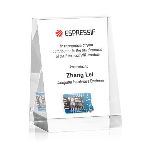 Recognition Awards - Acrylic Awards - Embedment - Upright Wedge Award