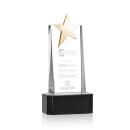 Fanshaw Gold Star Award on Base - Black