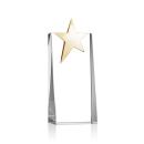 Fanshaw Gold Star VividPrint&trade; Award Alt Image 1