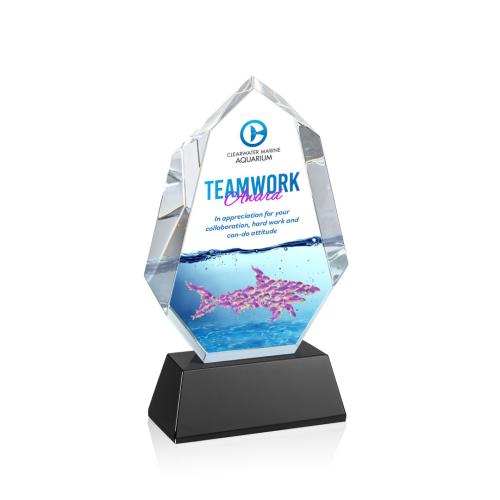 Recognition Awards - Crystal Awards - Norwood VividPrint™ Award on Newhaven Base - Black