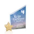Cooper VividPrint&trade; Award -  Starfire/Gold Star